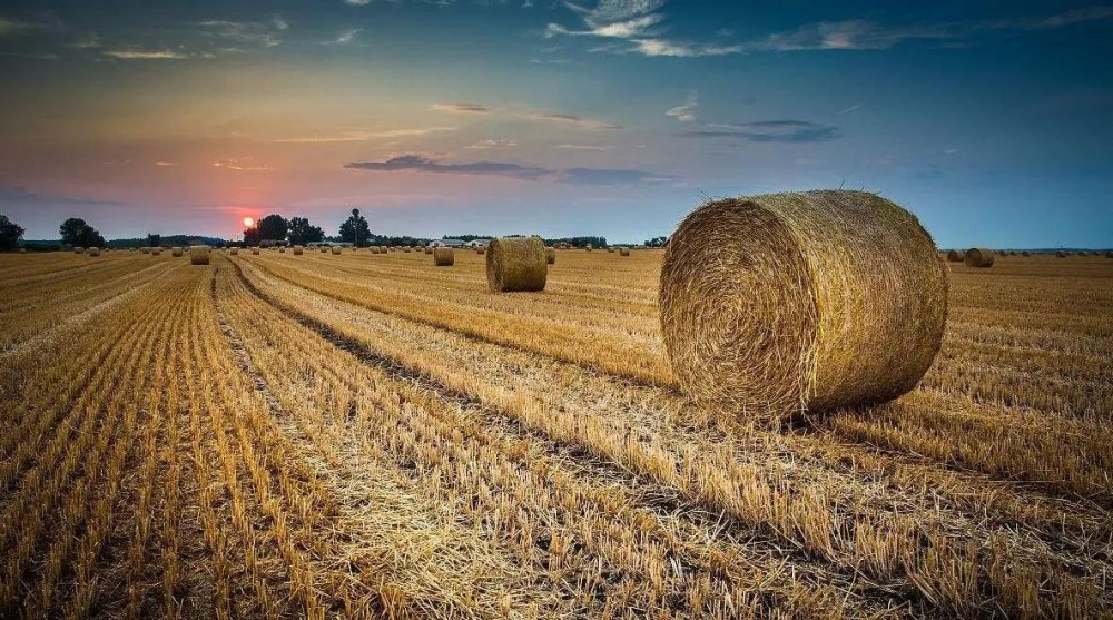 坐在男人嘴上让他添在线视频