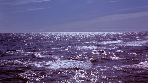 坐在男人嘴上让他添在线视频