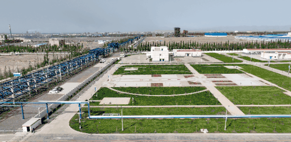 坐在男人嘴上让他添在线视频